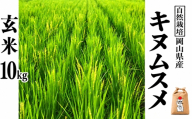 新米 令和８年産 【先行予約】 瀬戸内 自然栽培米 「キヌムスメ」玄米 10kg  無農薬 無肥料  米 自然栽培 こめ 岡山県 瀬戸内市 さしすせそ Wacca Farm 自然食品 自然食