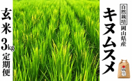 新米 令和８年産 【先行予約】 瀬戸内 自然栽培米 「キヌムスメ」玄米 3kg 定期便 6ヵ月 無農薬 無肥料  米 自然栽培 こめ 岡山県 瀬戸内市 さしすせそ Wacca Farm 自然食品 自然食