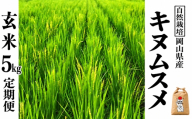 新米 令和８年産 【先行予約】 瀬戸内 自然栽培米 「キヌムスメ」玄米 5kg 定期便 6ヵ月 無農薬 無肥料  米 自然栽培 こめ 岡山県 瀬戸内市 さしすせそ Wacca Farm 自然食品 自然食