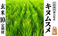 新米 令和８年産 【先行予約】 瀬戸内 自然栽培米 「キヌムスメ」玄米 10kg 定期便 6ヵ月（隔月配送） 無農薬 無肥料  米 自然栽培 こめ 岡山県 瀬戸内市 さしすせそ Wacca Farm 自然食品 自然食