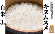 新米 令和８年産 【先行予約】 瀬戸内 自然栽培米 「キヌムスメ」白米 3kg  無農薬 無肥料  米 自然栽培 こめ 岡山県 瀬戸内市 さしすせそ Wacca Farm 自然食品 自然食