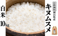 新米 令和８年産 【先行予約】 瀬戸内 自然栽培米 「キヌムスメ」白米 10kg  無農薬 無肥料  米 自然栽培 こめ 岡山県 瀬戸内市 さしすせそ Wacca Farm 自然食品 自然食