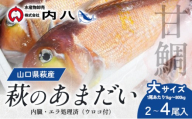 「萩のあまだい」２～４尾（１尾１kg～800g・大サイズ）内臓・エラ処理済（ウロコ付）