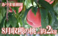 No.1758【先行予約】もも　8月収穫の桃　品種お任せ　約2kg【2024年発送】