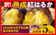 訳あり 紅はるか 熟成 紅はるか 5kg さつまいも 芋 サツマイモ 土付き サイズ色々 サイズ不揃い 九州産 焼き芋 やきいも 甘い デザート スイートポテト 生芋 おやつ デザート 野菜 いも