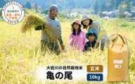 【栽培期間中農薬・肥料不使用】令和8年産 大岩川の自然栽培米「亀の尾」（玄米）10kg 新米 10キロ かめのお コシヒカリの祖先 玄米食 玄米ご飯 げんまい 自然栽培 自然栽培米 農薬不使用 肥料不使用 除草剤不使用 富山県産 富山県 上市町 剱岳 湧水 大岩川 寿司米 国産 まとめ買い 自家採種 有吉自然農場 産地直送 贈り物 ギフト 和食 人気 おすすめ ごはん 米 お米 こめ おこめ コメ