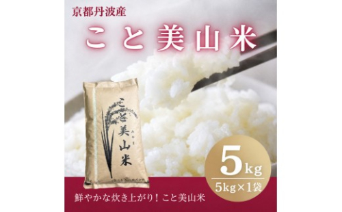 訳あり 令和8年産 こと美山米 5kg 精米 コシヒカリ にじのきらめき お米 米 新米 南丹市 京都 令和8年 5キロ 新米26 2869670 - 京都府南丹市