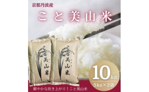 訳あり 令和8年産 こと美山米 10kg 精米 コシヒカリ にじのきらめき お米 米 新米 南丹市 京都 令和8年 10キロ 新米26 2869671 - 京都府南丹市