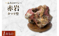 赤石 タマリ型 [ 加藤樹石苑 北海道 歌志内市 01227an037] 古代 コレクション 鑑賞石