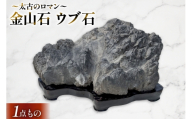 金山石 ウブ石 [ 加藤樹石苑 北海道 歌志内市 01227an059] 化石 標本 あんもないと 古代 コレクション
