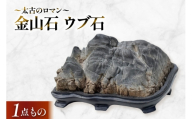 金山石 ウブ石 [ 加藤樹石苑 北海道 歌志内市 01227an058] 原石 初心石 古代 コレクション