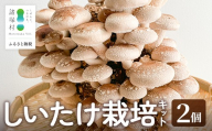 【先行予約】ぽこぽこ森の育てるしいたけ（しいたけ栽培キット）2個［2026年11月以降順次発送］｜栽培キット 椎茸 しいたけ 菌床椎茸 体験 国産 家庭菜園 プレゼント お子様  もろっこはうす 宮崎県 諸塚村 MO-63