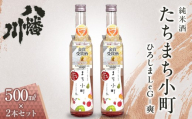 たちまち小町　～ひろしまLeG-爽～　500ml×2本
