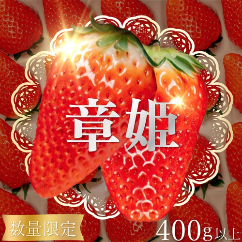 【限定100個】先行予約　京丹後産いちご章姫　400g以上（9～12粒） いちご、イチゴ、あきひめ、章姫、京丹後、丹後、フルーツ、美食 2870189 - 京都府京丹後市