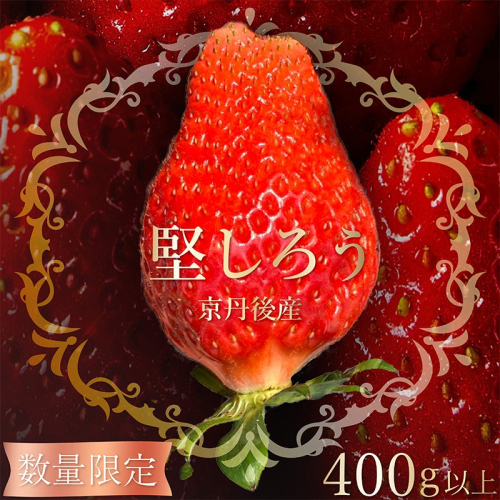 【限定100個】先行予約　京丹後産いちご堅しろう　400g以上（9～12粒） いちご、イチゴ、けんしろう、堅しろう、京丹後、丹後、フルーツ、美食 2870201 - 京都府京丹後市