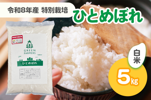 令和8年産 特別栽培 ひとめぼれ 白米 5kg｜2026年 宮城産 大郷町 白米 米 コメ 精米 お米 こめ 特別栽培米 ふるさと納税 新米 [0319] 2870212 - 宮城県大郷町