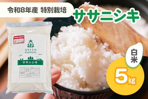 令和8年産 特別栽培 ササニシキ 白米 5kg｜2026年 宮城産 大郷町 白米 米 コメ 精米 お米 こめ 特別栽培米 ふるさと納税 新米 [0320] 2870213 - 宮城県大郷町