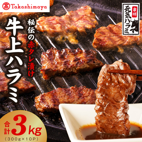 【高島屋選定品】〈アキラ商店〉秘伝の赤タレ漬け 牛上ハラミ 300g×10P TAK0004 2870217 - 大阪府泉佐野市