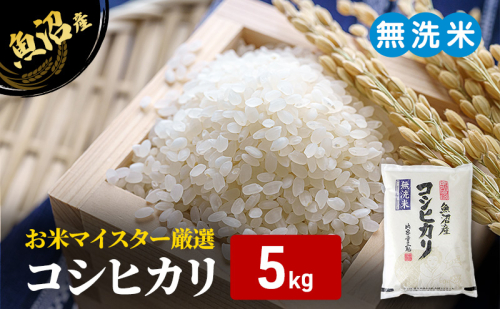 お米マイスター厳選　魚沼産コシヒカリ（無洗米）5kg 米 お米 こしひかり 魚沼市 2870221 - 新潟県魚沼市