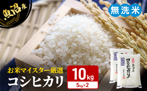 お米マイスター厳選　魚沼産コシヒカリ（無洗米）10kg（5kg×2） 米 お米 こしひかり 魚沼市 2870222 - 新潟県魚沼市