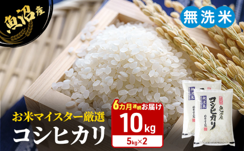 お米マイスター厳選　魚沼産コシヒカリ（無洗米）10kg（5kg×2） 6カ月連続お届け 米 お米 こしひかり 定期 定期便 魚沼市 2870224 - 新潟県魚沼市