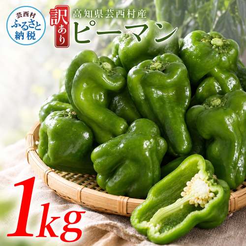 訳ありピーマン 1kg P.SUKE（ピースケ）野菜 新鮮 みずみずしい 肉厚 料理 サラダ スティック野菜 野菜炒め 肉詰め 青椒肉絲 高知県 芸西村 2870242 - 高知県芸西村
