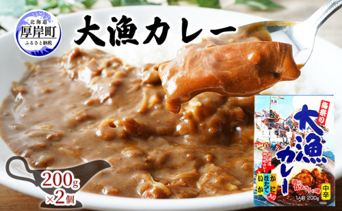 大漁カレー 200g×2個 カレー レトルト 加工食品 惣菜 レトルトカレー 洋食 海鮮カレー ランチ お昼ご飯 夕飯 夜食 手軽 簡単 ほたて いか かに 風味豊か 海の幸カレー 海の幸 2870275 - 北海道厚岸町