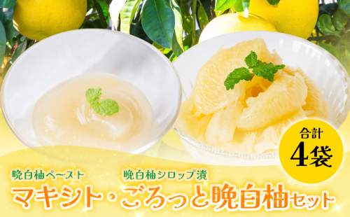 【先行予約】 晩白柚ペースト「マキシト」・晩白柚シロップ漬「ごろっと晩白柚」セット 晩白柚 ばんぺいゆ 柑橘 手作り ペースト ジャム フルーツソース シロップ漬け デザート 【2027年1月中旬より順次発送】 2870284 - 熊本県八代市