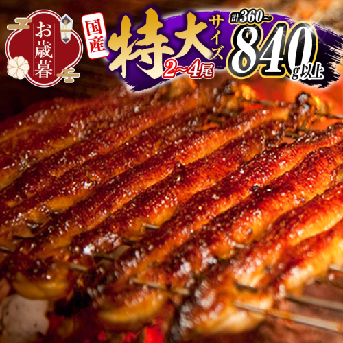 ＜お歳暮専用＞うなぎ 鰻楽 国産 特大4尾 2尾 3尾 蒲焼 無頭 高評価 人気 おすすめ 冷凍 簡単調理 個包装 鰻 魚介 贈答品［選べる!!数量］※2026年12月1日〜12月20日にお届け【N89-N87-N88】 2870308 - 宮崎県新富町