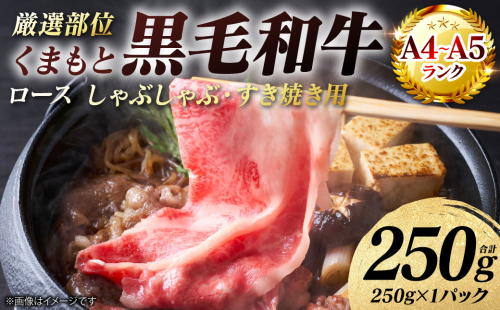 【A4～A5ランク】 【厳選部位】 くまもと黒毛和牛 ロース しゃぶしゃぶ すき焼き用 250g （250g×1パック） 和牛 牛肉 お肉 黒毛和牛 鍋 冷凍 おかず 熊本県 八代市 2870331 - 熊本県八代市