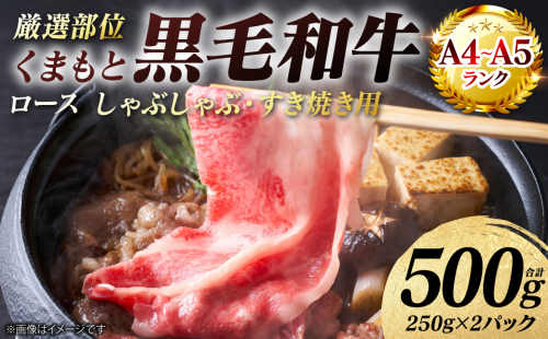 【A4～A5ランク】 【厳選部位】 くまもと黒毛和牛 ロース しゃぶしゃぶ すき焼き用 500g （250g×2パック） 和牛 牛肉 お肉 黒毛和牛 鍋 冷凍 おかず 熊本県 八代市 2870332 - 熊本県八代市