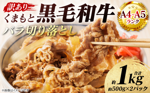 【訳あり】 【A4～A5ランク】 くまもと黒毛和牛 バラ 切り落とし  約1kg （約500g×2パック）牛肉 お肉 バラ 黒毛和牛 冷凍 炒め物 おかず 熊本県 八代市 2870336 - 熊本県八代市