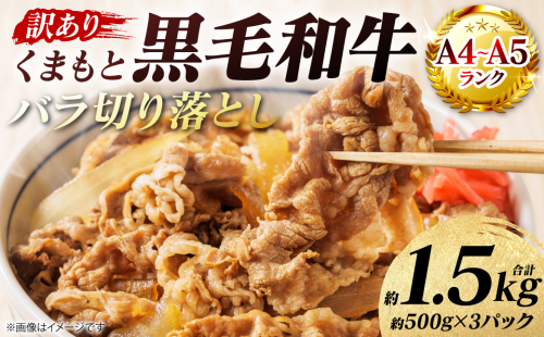 【訳あり】 【A4～A5ランク】 くまもと黒毛和牛 バラ 切り落とし  約1.5kg （約500g×3パック）牛肉 お肉 バラ 黒毛和牛 冷凍 炒め物 おかず 熊本県 八代市 2870337 - 熊本県八代市