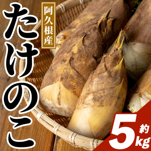 ＜先行予約受付中！2027年3月下旬以降順次発送予定＞  鹿児島県産 青果 たけのこ (約5kg) 国産 阿久根市産 野菜 たけのこ タケノコ 筍 旬 煮物 水煮 天ぷら つくだ煮 数量限定 期間限定 産地直送 【迫口大将】akn110-01 2870342 - 鹿児島県阿久根市