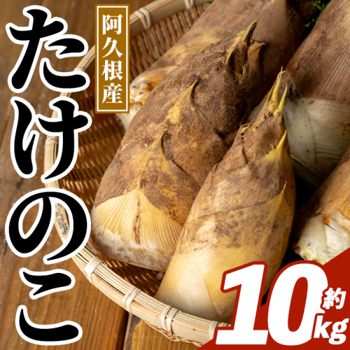 ＜先行予約受付中！2027年3月下旬以降順次発送予定＞  鹿児島県産 青果 たけのこ (約10kg) 国産 阿久根市産 野菜 たけのこ タケノコ 筍 旬 煮物 水煮 天ぷら つくだ煮 数量限定 期間限定 産地直送 【迫口大将】akn110-02 2870350 - 鹿児島県阿久根市
