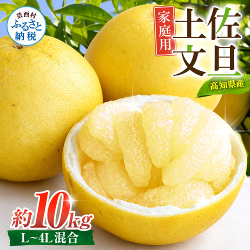 先行予約 文旦 家庭用 約10kg 土佐文旦 L～4L 混合サイズ 高知 ブンタン ぶんたん 旬 柑橘 かんきつ 柑橘類 フルーツ 果物 くだもの デザート おやつ 爽やか 甘い スイーツ 美味しい おいしい 常温 2870404 - 高知県芸西村