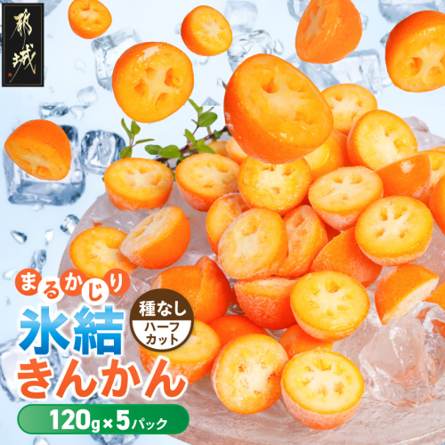 まるかじり氷結きんかん＜種なしハーフカット＞5パック〔J7-004-5〕 2870436 - 宮崎県都城市
