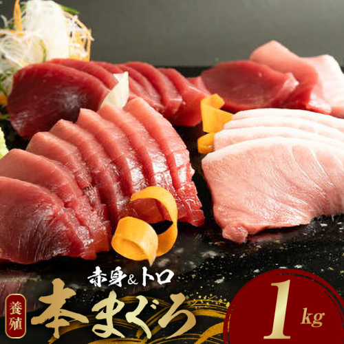 本マグロ（養殖）赤身＆トロセット 1kg_AZ6026 2870441 - 和歌山県湯浅町