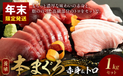 【年末配送】本マグロ（養殖）赤身＆トロセット 1kg_AZ6026_nm 2870442 - 和歌山県湯浅町