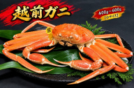【11/15～30出荷】越前ガニ 400g～600g 1杯 【小サイズ】
