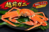 【12月出荷】越前ガニ 900g～1.1kg 1杯 【大サイズ】