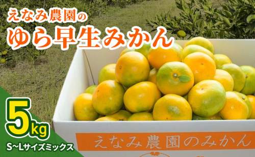 【2026年10月上旬以降順次発送】えなみ農園のゆら早生みかん 5kg（S～Lサイズミックス）みかん ミカン 柑橘 果物 くだもの フルーツ 静岡 浜松市 2870531 - 静岡県浜松市