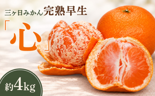 【2026年12月上旬より順次発送】三ヶ日みかん 完熟早生「心」 約4kg ミカン みかん 果物 フルーツ 静岡 浜松市【配送不可：離島】 2870532 - 静岡県浜松市