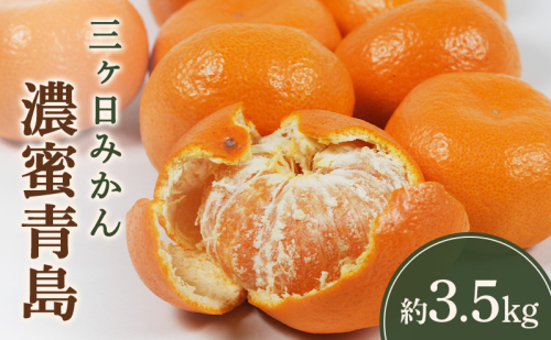 【2027年2月下旬より順次発送】三ヶ日みかん「濃蜜青島」約3.5kg ミカン みかん 果物 フルーツ 静岡 浜松市【配送不可：離島】 2870533 - 静岡県浜松市