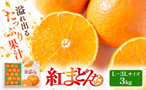 紅まどんな 〇等級 L～3Lサイズ 3kg 2870539 - 愛媛県東温市