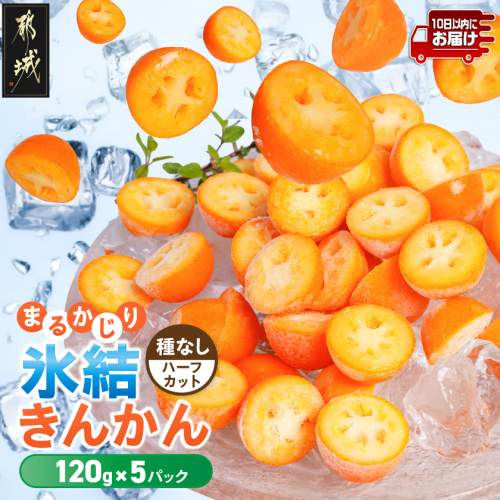 まるかじり氷結きんかん＜種なしハーフカット＞5パック≪みやこんじょ特急便≫〔J7-004-5-Q〕 2870541 - 宮崎県都城市