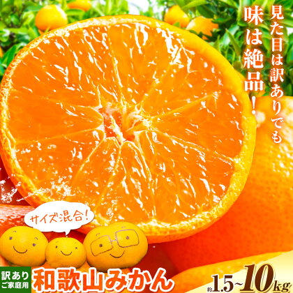 訳あり みかん (3S～3L) 選べる内容量 約1.5kg 約5kg 約6.5kg 約10kg《10月上旬‐12月末頃に発送(土日祝を除く)》和歌山県 日高町 果物 フルーツ 訳あり みかん 家庭用 お試し 大容量 送料無料 2870554 - 和歌山県日高町