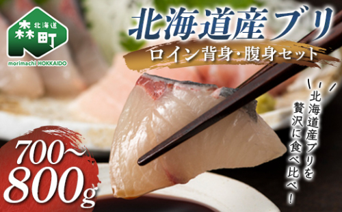 北海道産 ブリ ロイン 700～800g 背身・腹身セット 食べ比べ 鰤 ぶり 海鮮 魚介 mr1-1550 2870565 - 北海道森町