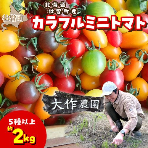 【先行予約】【2027年7月より発送】カラフルミニトマト約2kg(5種以上) 大作農園 北海道壮瞥町 SBTR012 2870633 - 北海道壮瞥町