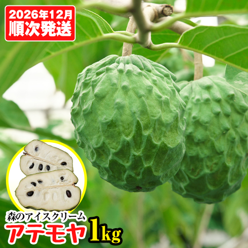 【2026年12月中旬から順次発送】森のアイスクリーム キラリファームのアテモヤ 1kg 2870645 - 沖縄県南風原町